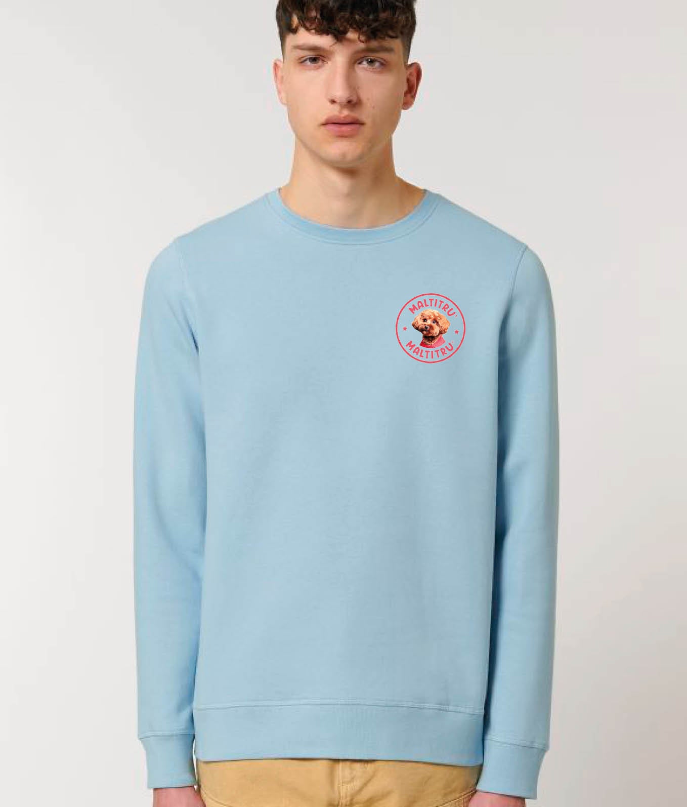 MaltiSweater Light Blue