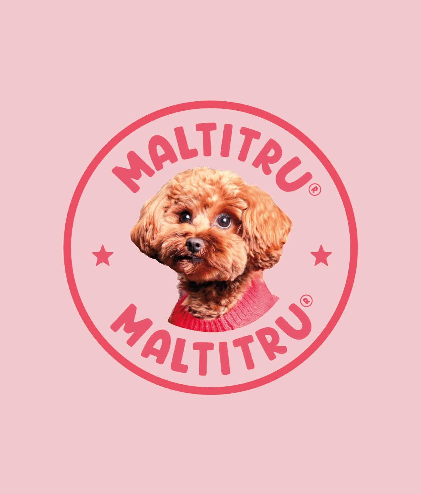 MaltiSweater Pink
